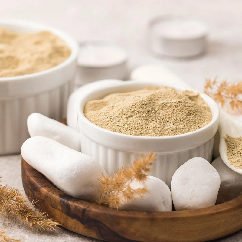 Kit Petisqueira com Garfinhos e Ramekin - Casa Prática
